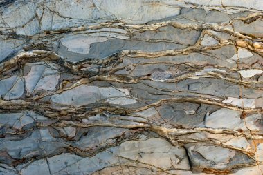 Bu makro fotoğraf doğal bir kaya oluşumunun karmaşık yüzeyini yakalar, katmanlı gri kayalık ve belirgin beyaz mineral damarları içerir. Organik desenler ve yıpranmış çatlaklar jeolojik bir zaman ve basınç hikayesi anlatıyor. İdeal bir b.