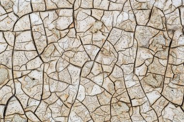 Yıpranmış beyaz bir maddenin yüksek çözünürlüklü yakın çekimi. Yoğun koyu çatlaklar ve soyulmuş parçalardan oluşan bir ağ. Endüstriyel ya da klasik arka planlar için uygun organik soyut bir model yaratıyor..