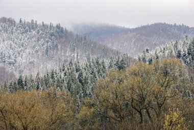 Resmedilmeye değer bir kış sahnesi. Puslu dağ yamaçları karla kaplı kozalaklı ormanlarla kaplı ve ön planda renkli yaprak döken ağaçlarla kaplı. Yükseklerde mevsimsel güzel bir geçiş dönemi yaratıyor..