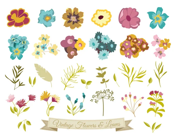 Εκλεκτής ποιότητας λουλούδια και φύλλα σύνολο Royalty Free Εικονογραφήσεις Αρχείου