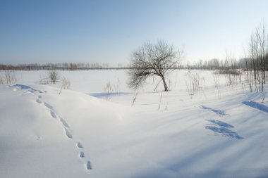 Snowdrifts kış ve güneş