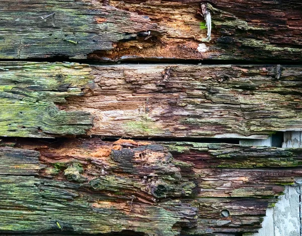 Trä textur, bakgrundsbild — Stockfoto