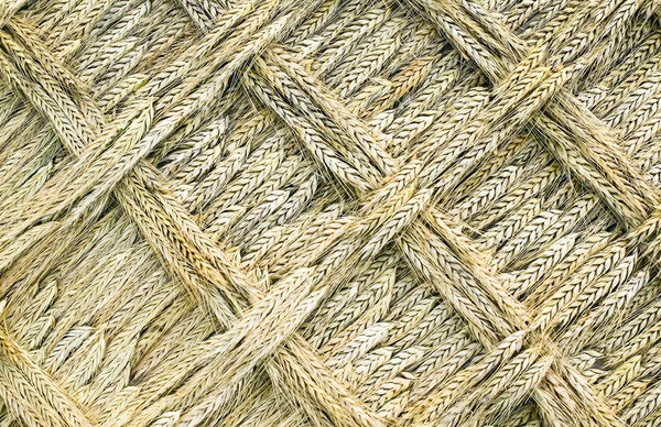 Altın wead örgü sanat