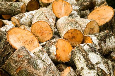 Ahşap kesim odun arka plan