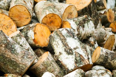 Ahşap kesim odun arka plan