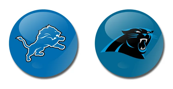 Lions vs panthers — Stock Photo, Image