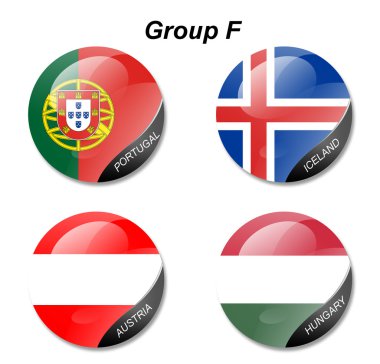 Euro 2016 içinde futbol