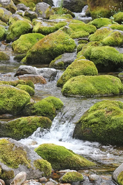 Water flowing over stones overgrown with moss. — Stock Photo, Image