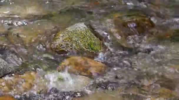 Agua Fluye Sobre Las Piedras Río Montaña Rápida Fondo Natural — Vídeos de Stock