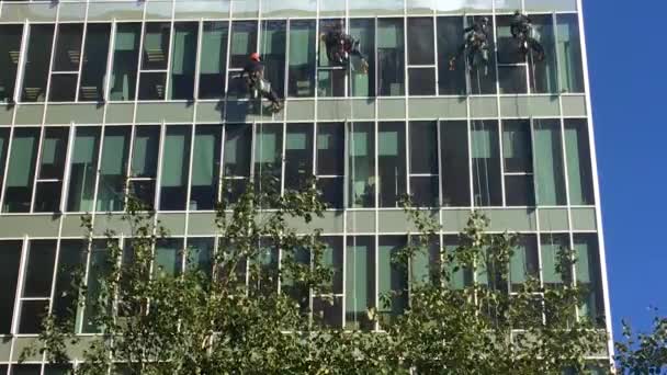 Arbeiter Waschen Fenster Einem Hohen Bürogebäude Industrieller Alpinismus — Stockvideo