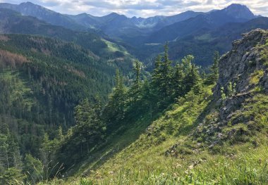Kayalık kayalık yamaçlar ve süslerle dolu dağ manzarası, güneşli bir yaz günü. Burun Dağı, Tatra Dağları 'ndan görüntü. Tatra Ulusal Parkı.
