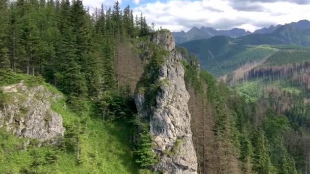 Mountain Landscape Rocky Cliff Spruces Sunny Summer Day View Mount — Stock Video