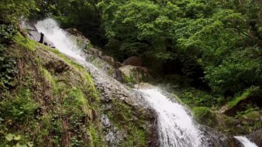 Yüzme. Kız sporcu sürünerek yüzer ve havuzda bir tur atar..