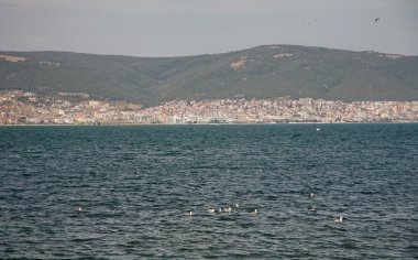 Sveti Vlas şehir sahil. Karadeniz, Bulgaristan.