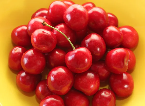 Ripe juicy cherries in a yellow plate close-up — Stock Photo, Image