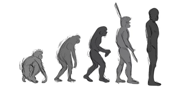 Evolution Hand Draw Blanco — Foto de Stock