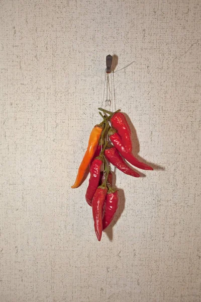 Red Chili Peppers Hangs Wooden Wall Dry — Stock Photo, Image