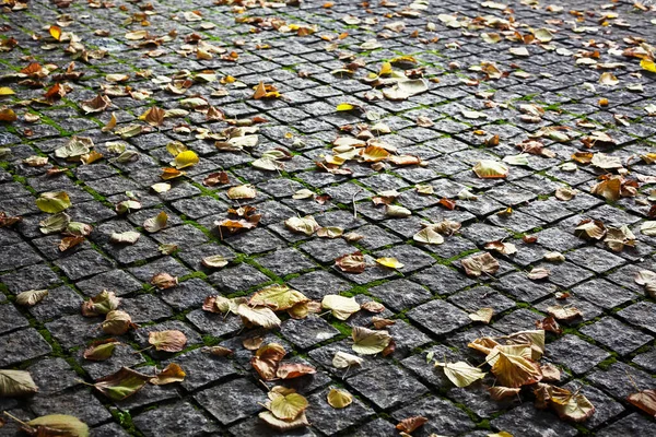 Droga Chodnikowa Pokryta Jest Jesiennymi Liśćmi — Zdjęcie stockowe