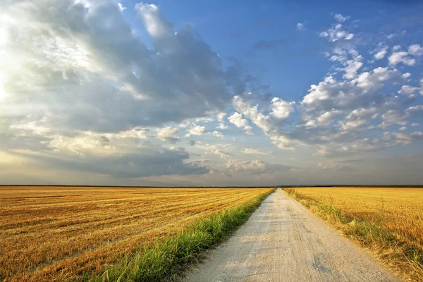 Country Road — Stock Photo, Image