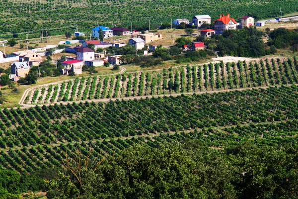 Село серед виноградників Стокове Зображення