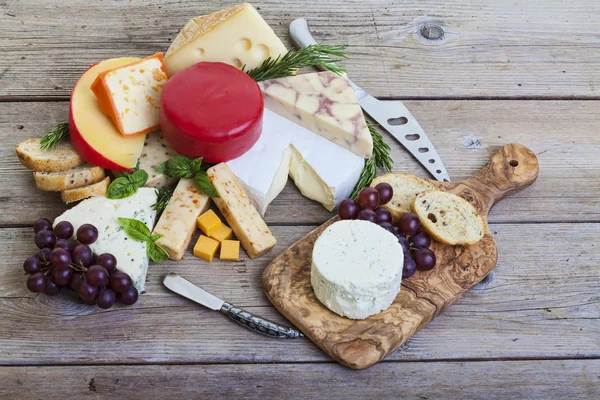 Assorted cheese platter — Stock Photo, Image