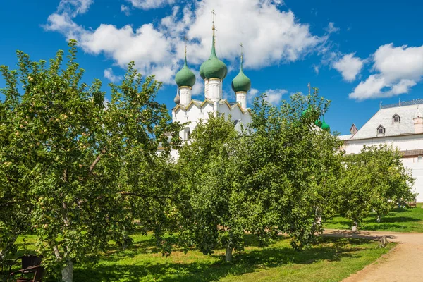 Rostow Weliki Gebiet Jaroslawl Russland August 2021 Apfelplantage Rostower Kreml — Stockfoto