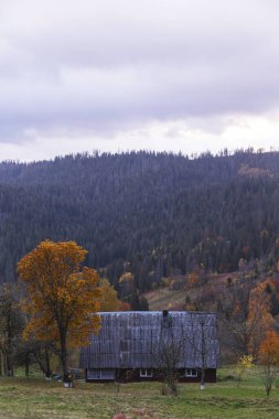 Dağlarda sonbahar arkaplanı. Sarı ağaçlı ahşap ev