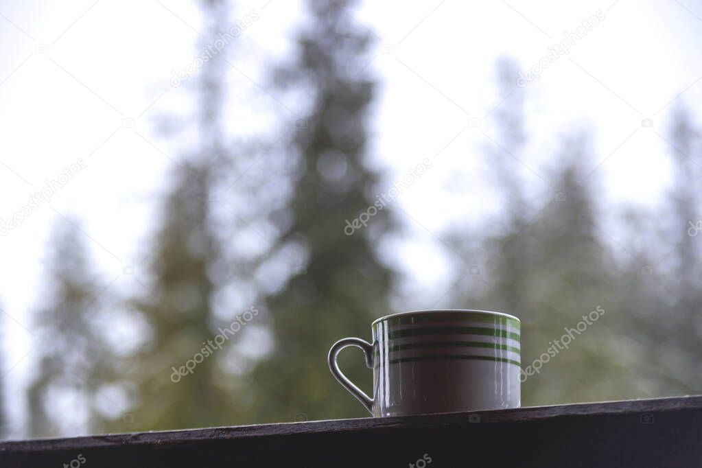 Morning coffee overlooking green spruces with the first snow in the mountains