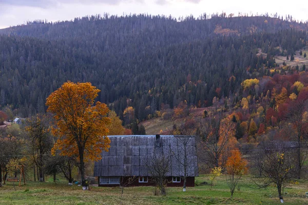 Őszi háttér a hegyekben. Sárga fás faház — Stock Fotó