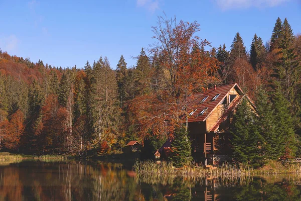 Békés őszi táj egy tó között színes fák — Stock Fotó