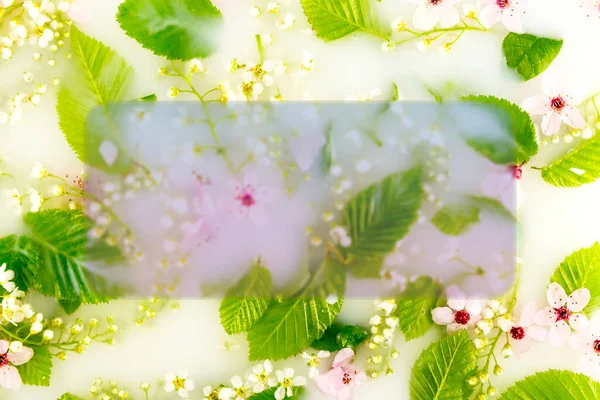Flowers and leaves in white water background.