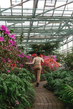 Seranın yeşil bitkilerinin arasında gülümseyen şapkalı, iri yarı, güzel bir kız.