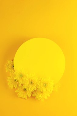 Sarı yuvarlak çerçeve arka plan, parlak sarı arka planda kasımpatı çiçekleri. Kopyalama alanı olan üst görünüm düzeni