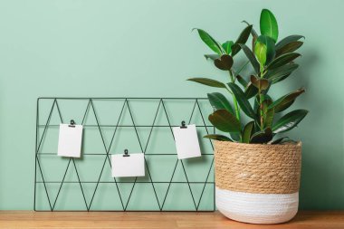 Üzerinde kartpostal olan siyah kartonpiyer ve serbest bir iş yerinde saksısı olan yeşil bir duvarın maketini hatırlatıyor..