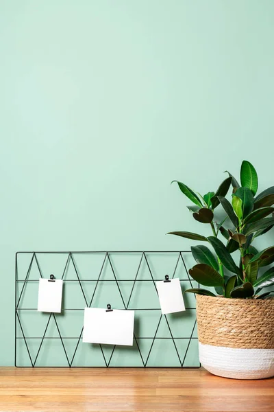 Black moodboard with postcards and reminders mockup against a green wall with a plant pot at a freelance workplace. — Stock Photo, Image