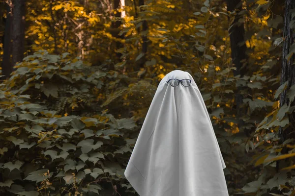 Fantasma de Halloween na floresta. Conceito criativo festivo — Fotografia de Stock