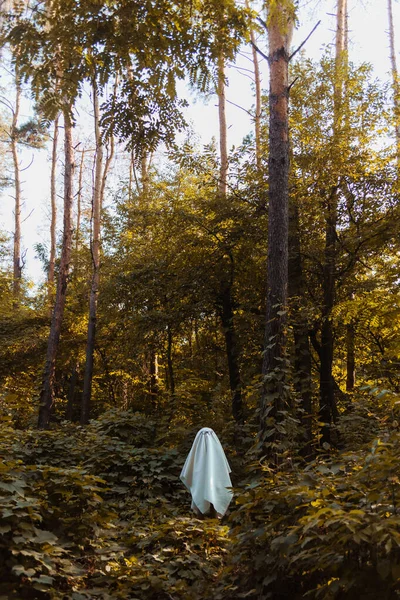 Fantôme d'Halloween dans la forêt. Concept créatif festif — Photo