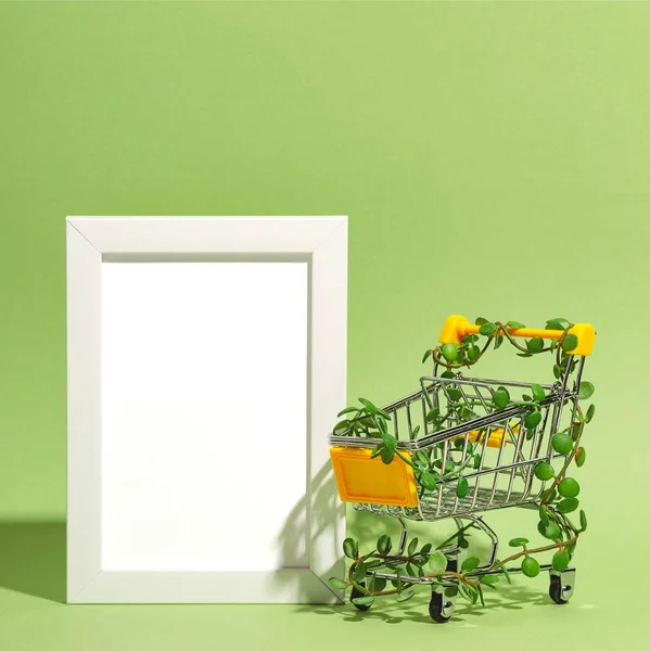 Panier entrelacé avec des plantes à côté de vide cadre maquette sur fond vert. Consommation consciente — Photo