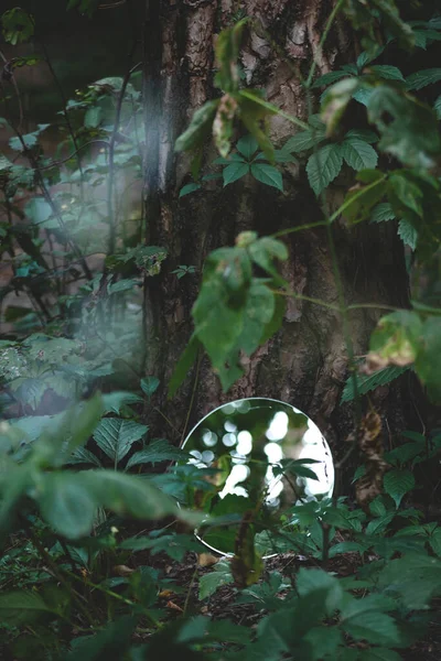 Espelho redondo na floresta verde escura. Imagem moderna abstrata, perto do conceito de natureza. — Fotografia de Stock