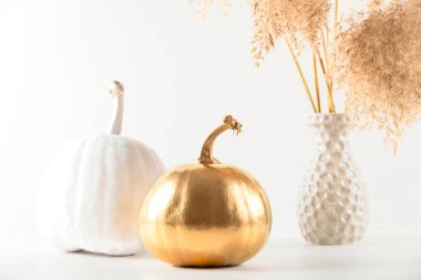 Hafif arka planda altın ve beyaz balkabakları ve pampass otları.