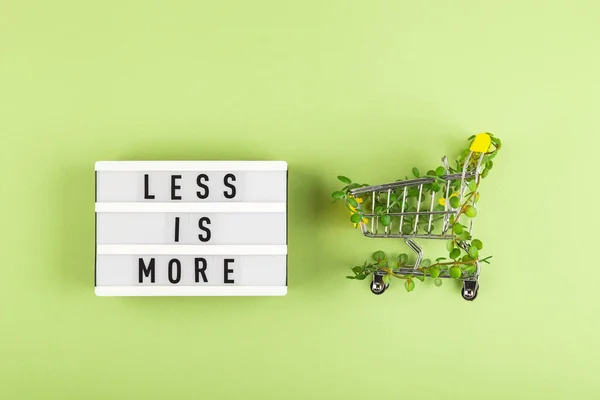 Panier entrelacé de plantes sur fond vert parmi les cintres. Style de vie écologique durable. — Photo