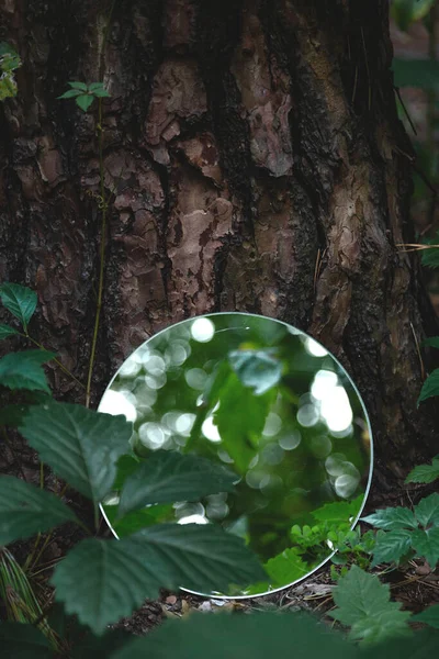 Ronde spiegel in donkergroen bos. Abstract trendy imago, dicht bij het natuurconcept. — Stockfoto