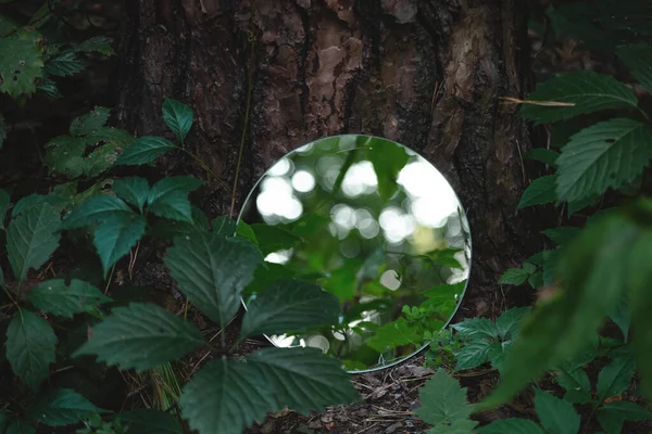 Ronde spiegel in donkergroen bos. Abstract trendy imago, dicht bij het natuurconcept. — Stockfoto