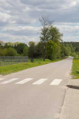 Bir zebra geçiş olan yol