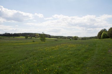 alanlar ve çayırlar