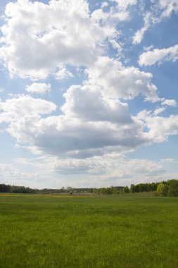 Alanlar ve çayırlar bir yaz gününde