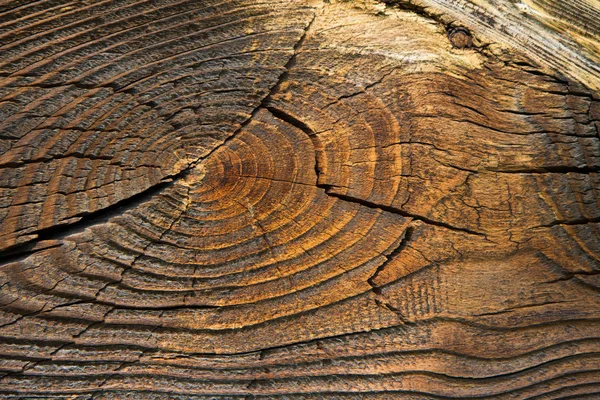 Trä plankor bakgrund — Stockfoto