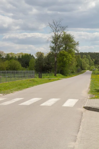 Bir zebra geçiş olan yol