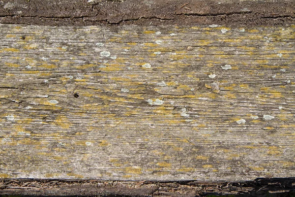 Tablones de madera fondo —  Fotos de Stock