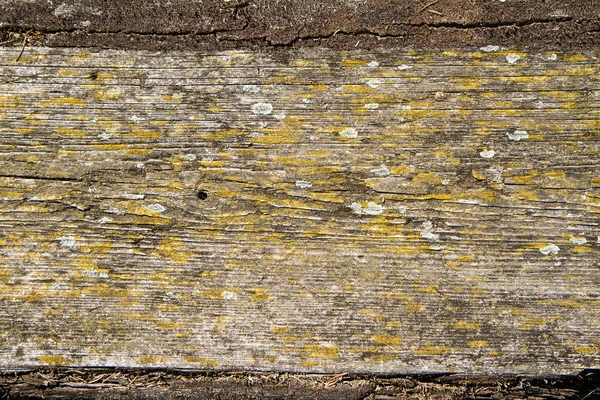 木の板の背景 — ストック写真